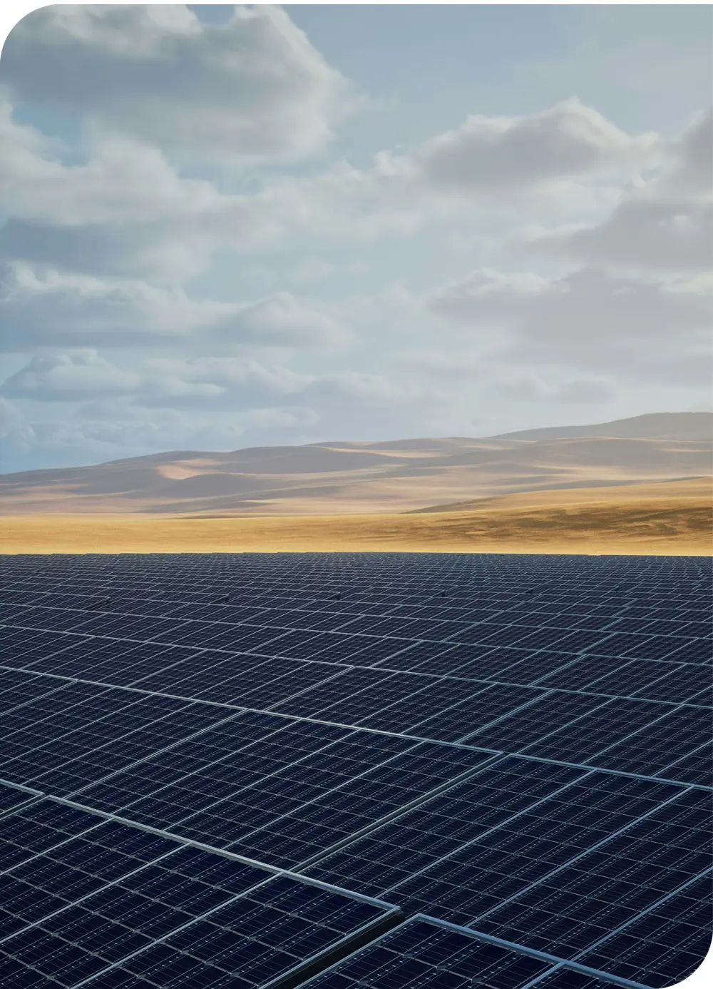 Photovoltaic park under an open sky.
