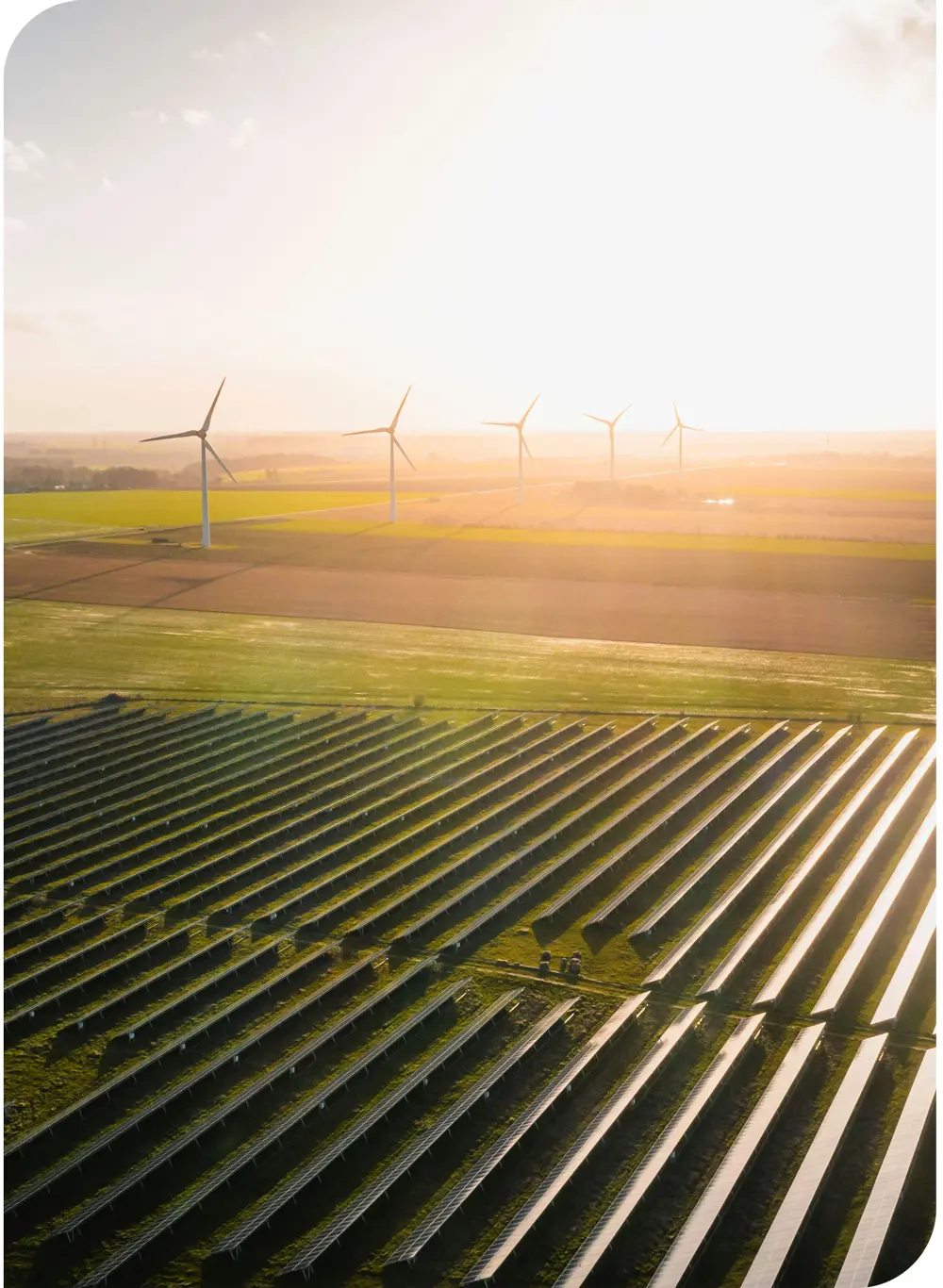 Aerial view of a photovoltaic park at sunset with wind turbines in the background.